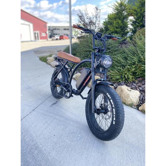 LIKEBIKE Peptun Fatbike E-Bike 250W 48V 13Ah 25 km/h