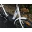 Bild 7/10 - LIKEBIKE Ariel 250W 36V 9Ah E-Bike, Elektro Fahrrad
