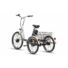 Bild 11/26 - LIKEBIKE TARVOS E-Dreirad Fahrrad 36V 9Ah Lithium 250W 25Km/h